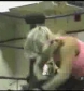 Ivory_vs_Naddie_9_16_06_GLOW_2_flv_000013967.jpg