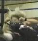 Ivory_vs_Naddie_9_16_06_GLOW_2_flv_000018233.jpg