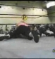 Ivory_vs_Naddie_9_16_06_GLOW_2_flv_000066600.jpg