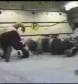 Ivory_vs_Naddie_9_16_06_GLOW_2_flv_000068867.jpg