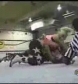 Ivory_vs_Naddie_9_16_06_GLOW_2_flv_000149367.jpg