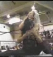 Ivory_vs_Naddie_9_16_06_GLOW_2_flv_000157200.jpg
