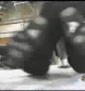 Ivory_vs_Naddie_9_16_06_GLOW_2_flv_000175533.jpg