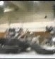 Ivory_vs_Naddie_9_16_06_GLOW_2_flv_000178833.jpg