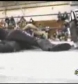 Ivory_vs_Naddie_9_16_06_GLOW_2_flv_000181200.jpg