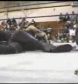 Ivory_vs_Naddie_9_16_06_GLOW_2_flv_000181833.jpg
