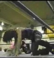 Ivory_vs_Naddie_9_16_06_GLOW_2_flv_000234733.jpg