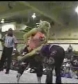 Ivory_vs_Naddie_9_16_06_GLOW_2_flv_000288033.jpg