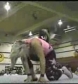 Ivory_vs_Naddie_9_16_06_GLOW_2_flv_000318000.jpg
