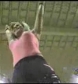 Ivory_vs_Naddie_9_16_06_GLOW_2_flv_000339100.jpg