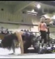 Ivory_vs_Naddie_9_16_06_GLOW_2_flv_000349533.jpg