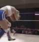 Jaime_D_(Sirelda)_VS_Nattie_Neidhart_flv_000312412.jpg