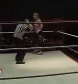 GCW_Natalya_Neidhart_vs__Miss_Danyah_flv_000125058.jpg