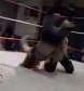 GCW_Natalya_Neidhart_vs__Miss_Danyah_flv_000142309.jpg