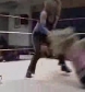 GCW_Natalya_Neidhart_vs__Miss_Danyah_flv_000156123.jpg