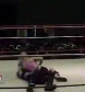 GCW_Natalya_Neidhart_vs__Miss_Danyah_flv_000208909.jpg