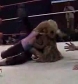 GCW_Natalya_Neidhart_vs__Miss_Danyah_flv_000213814.jpg