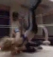 GCW_Natalya_Neidhart_vs__Miss_Danyah_flv_000263230.jpg