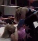 GCW_Natalya_Neidhart_vs__Miss_Danyah_flv_000351952.jpg