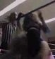 GCW_Natalya_Neidhart_vs__Miss_Danyah_flv_000360160.jpg