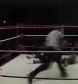 GCW_Natalya_Neidhart_vs__Miss_Danyah_flv_000400400.jpg