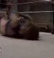 GCW_Natalya_Neidhart_vs__Miss_Danyah_flv_000434301.jpg