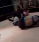 GCW_Natalya_Neidhart_vs__Miss_Danyah_flv_000438738.jpg