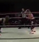 GCW_Natalya_Neidhart_vs__Miss_Danyah_flv_000488121.jpg