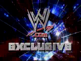 WWE_com_Exclusive_-_Natalya_comments_on_Beth_and_Melina_flv_000003733.jpg