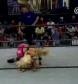The_Pink___Black_Attack_VS__Krissy_Vaine___Angel_Williams_flv_000298832.jpg