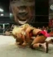 The_Pink___Black_Attack_VS__Krissy_Vaine___Angel_Williams_flv_000320353.jpg