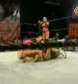 The_Pink___Black_Attack_VS__Krissy_Vaine___Angel_Williams_flv_000338738.jpg