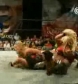 The_Pink___Black_Attack_VS__Krissy_Vaine___Angel_Williams_flv_000532665.jpg