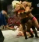 The_Pink___Black_Attack_VS__Krissy_Vaine___Angel_Williams_flv_000549783.jpg