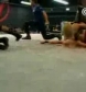 The_Pink___Black_Attack_VS__Krissy_Vaine___Angel_Williams_flv_000552886.jpg