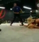 The_Pink___Black_Attack_VS__Krissy_Vaine___Angel_Williams_flv_000553353.jpg