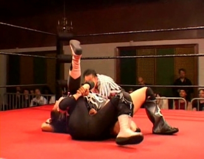 SHIMMER_#8__-__Nattie_Neidhart_vs_Arielpt2_avi_000282848.jpg