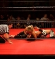 SHIMMER_#8__-__Nattie_Neidhart_vs_Ariel_avi_000285918.jpg