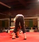 SHIMMER_#8__-__Nattie_Neidhart_vs_Arielpt2_avi_000161294.jpg