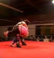 SHIMMER_#8__-__Nattie_Neidhart_vs_Arielpt2_avi_000271437.jpg