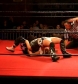 SHIMMER_#8__-__Nattie_Neidhart_vs_Arielpt2_avi_000442541.jpg