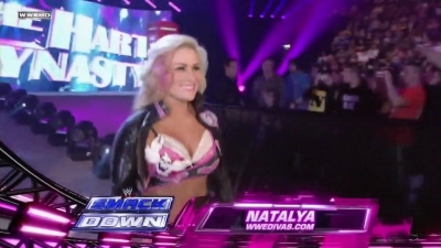 WWE_SmackDown_11_12_10_Layla_vs_Natalya_720p_AC3_5_1_x264_mkv_000011044.jpg