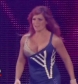 WWE_Great_American_Bash_2008_Michelle_McCool_vs_Natalya_XviD_avi_000067867.jpg