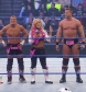 WWE_SmackDown_12_18_09_Natalya_720p_XviD_avi_000087921.jpg