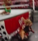 WWE_Raw_10_31_11_720p_AC3_5_1_x264_mkv_000478027.jpg