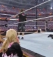 wm26_bretvsvincematch_com_avi_000799960.jpg